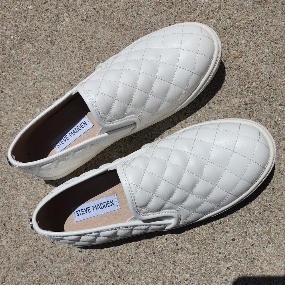Steve Madden ECENTRCQ slip ons